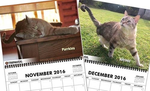 2017 Tripawds Calendars