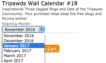 Tripawds Calendars
