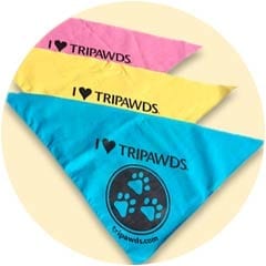 Tripawds Bandana