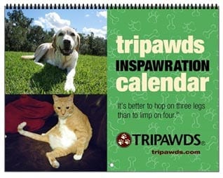 2018 Tripawds Calendar #22