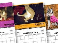 2018 Tripawds Calendar #22