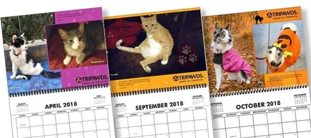 2018 Tripawds Calendar #22