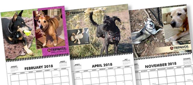 2018 Tripawds Calendar #23