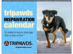 New Tripawds Calendars for 2018! 2018 Tripawds Calendar #24