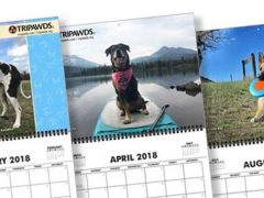 2018 Tripawds Calendar #24