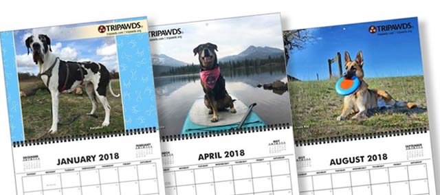 Tripawd, dog, cat, calendar