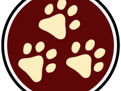 Custom Order Purchase