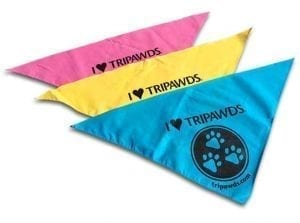 tripawds pet bandanas