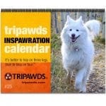 2019 Tripawds Calendar #25