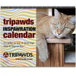 2019 Tripawds Calendar #26
