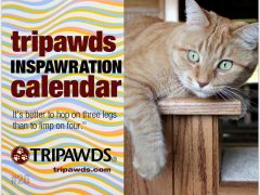 2019 Tripawds Calendar #26