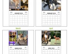 2019 Tripawds Calendar #27