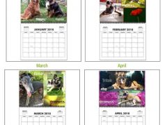 2019 Tripawds Calendar #28