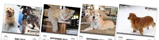 2019 Tripawds Calendars