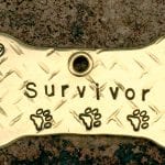 Dog cancer survivor collar tag