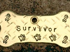 Dog cancer survivor collar tag