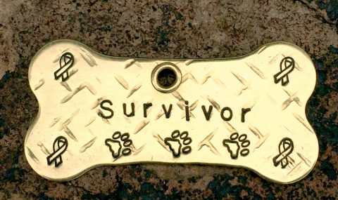 Dog cancer survivor collar tag