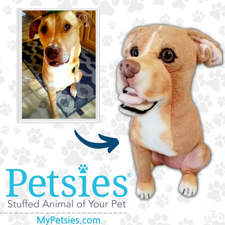 Petsies Custom Stuffed Animals of Your Dog or Cat from a Photo