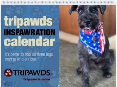 Tripawds 2020 Calendar