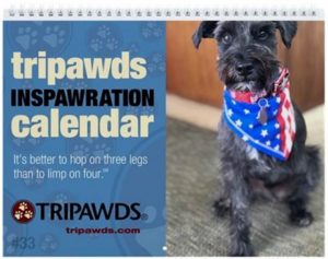 Tripawds 2020 Calendar