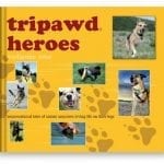 tripawd heroes