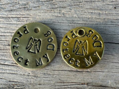 Protect My Dog Guardian Angel Collar Tag