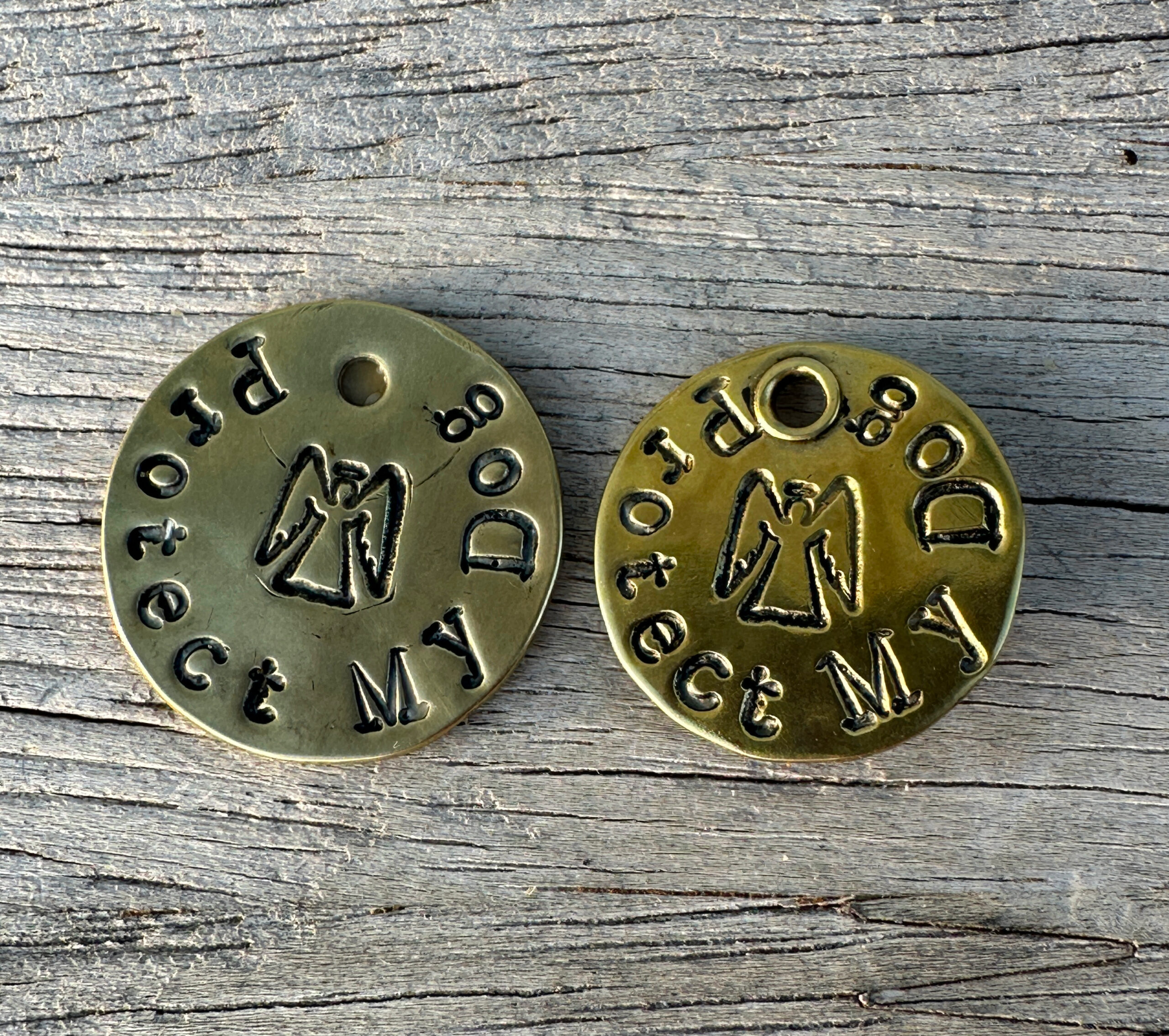 Protect My Dog Guardian Angel Collar Tag