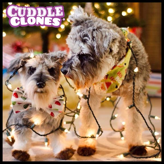 Cuddle Clones Christmas