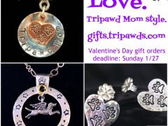 Get Custom Tripawd Jewelry for Valentine’s Day Before Time Runs Out Tripawd gift jewelry