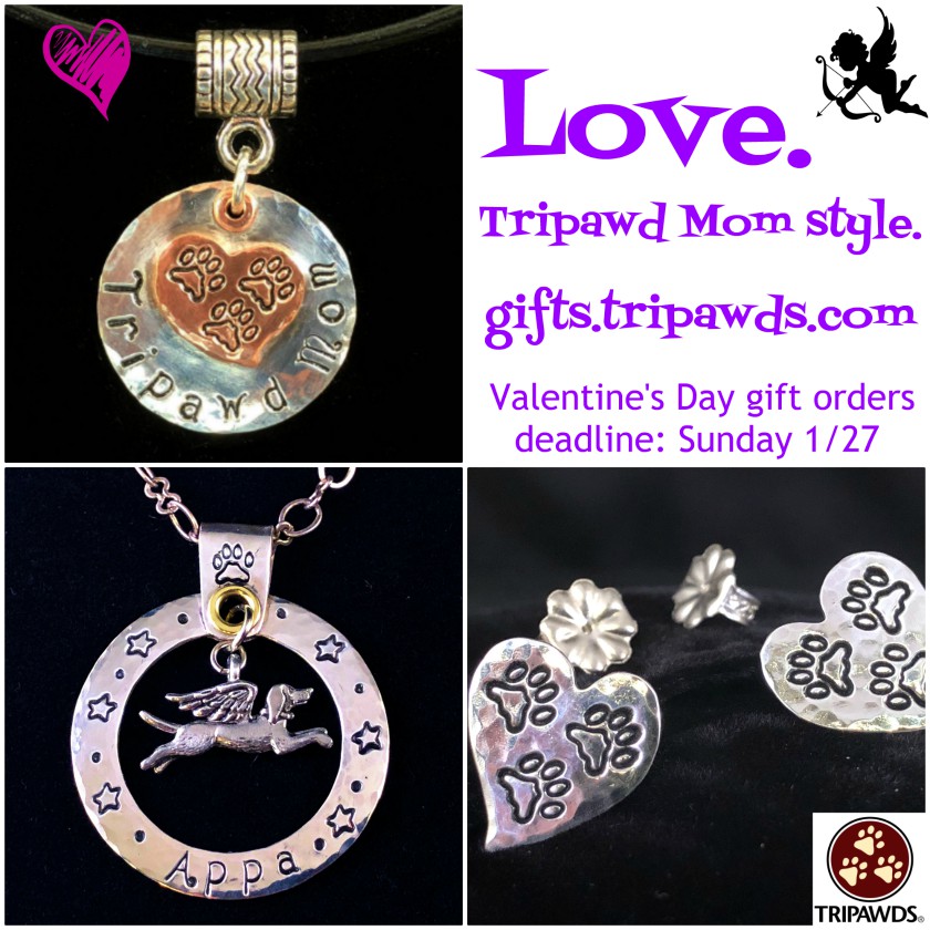 Tripawd gift jewelry