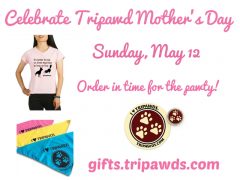 Great Tripawd Mom Gift Ideas tripawd mom gift idea