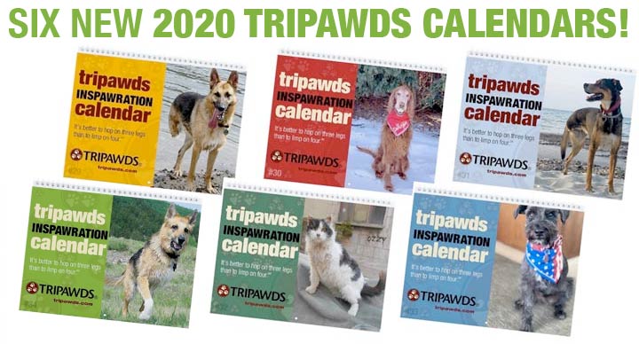 tripawds 2020 calendars