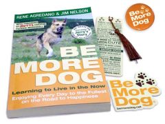 Be More Dog Gift Package