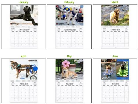 Tripawds Calendar