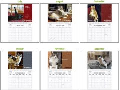 Tripawds Calendar