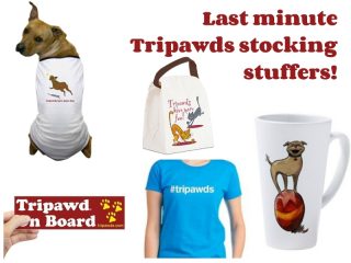 best Tripawds gifts
