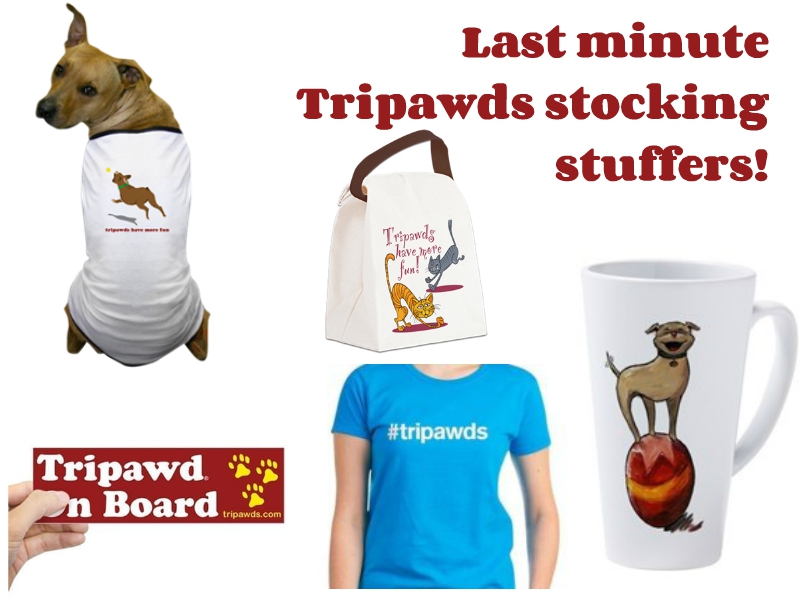 best Tripawds gifts