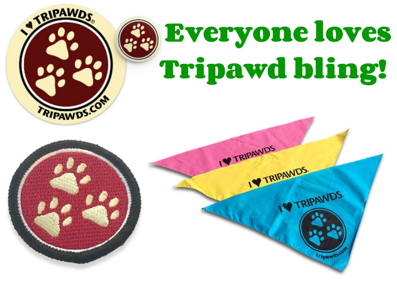 best Tripawd Gifts