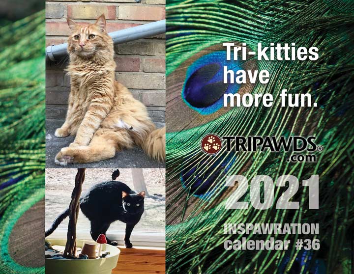 2021 Tripawds Calendar