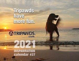 2021 Tripawds Calendar