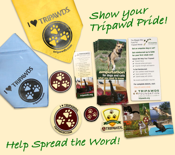 Tripawds Ambassador