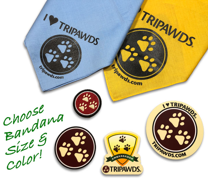 Tripawds Ambassador