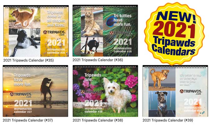 three-legged pets calendars 