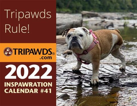 2022 tripawds calendar