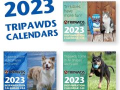 2023 Tripawds calendars