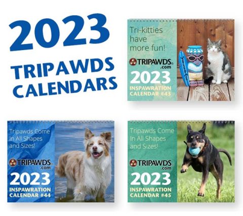 2023 Tripawds calendars