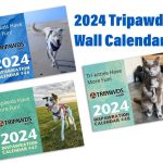 tripawds calendars