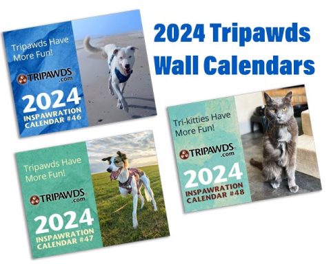 tripawds calendars