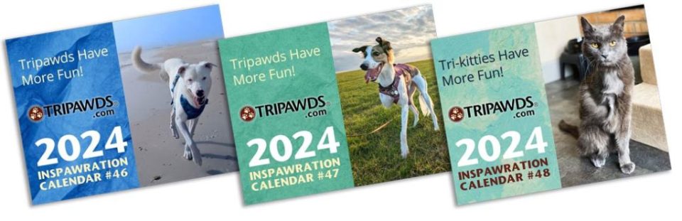 2024 Tripawds Calendars